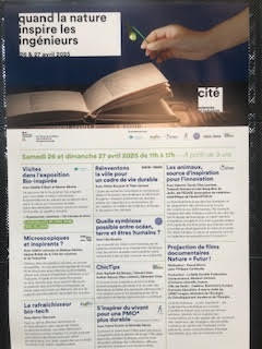 unnamed (1) unnamed (1)